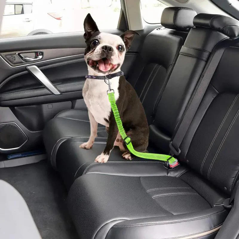 “Cinturón de seguridad para mascotas de alta calidad – cinturón ajustable con línea reflectante para perros y gatos, compatible con cualquier collar o arnés.”