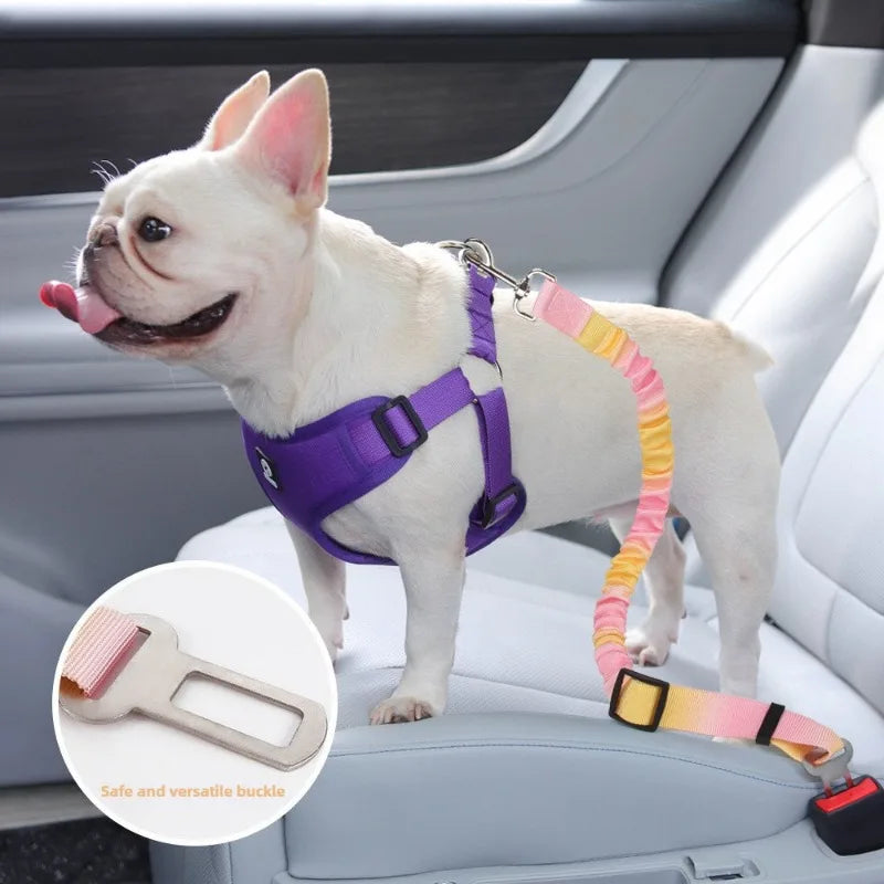 “Cinturón de seguridad para coche de perros y gatos – correa ajustable y arnés antitirones para viajes seguros.”