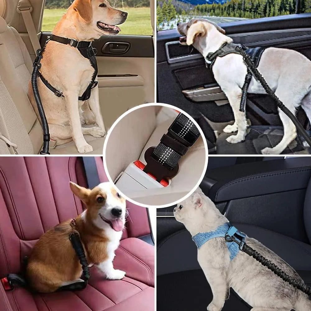“Cinturón de seguridad ajustable para mascotas, correa reflectante de nailon con acolchado para viajes en coche con perros y gatos.”