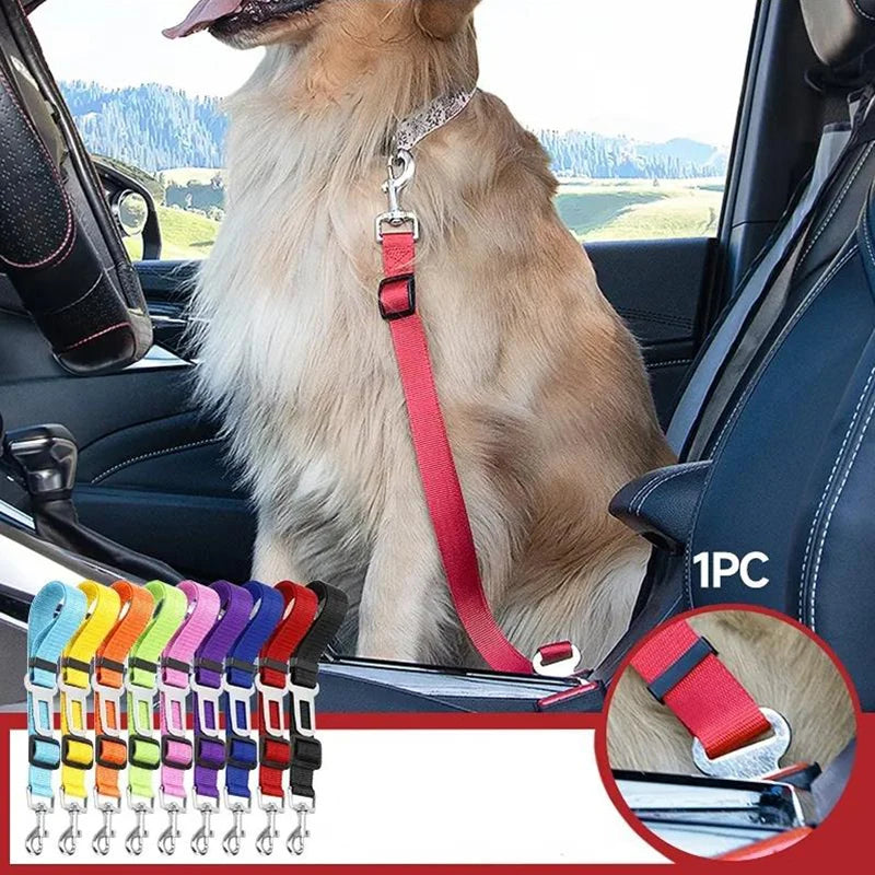 “Cinturón de seguridad para mascotas de alta calidad – cinturón ajustable con línea reflectante para perros y gatos, compatible con cualquier collar o arnés.”