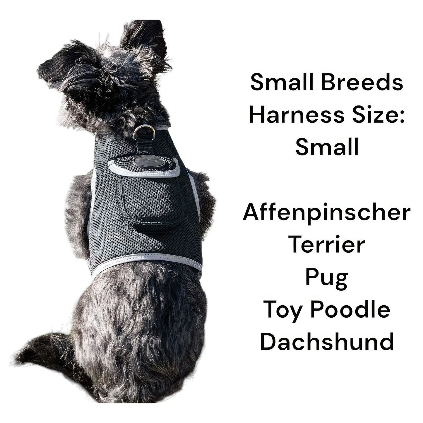 Dispositivo de Rastreo GPS Portátil para Mascotas