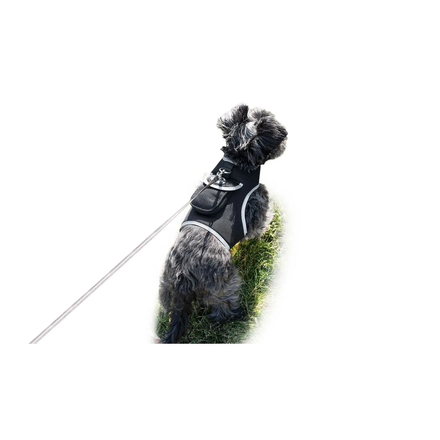 Dispositivo de Rastreo GPS Portátil para Mascotas