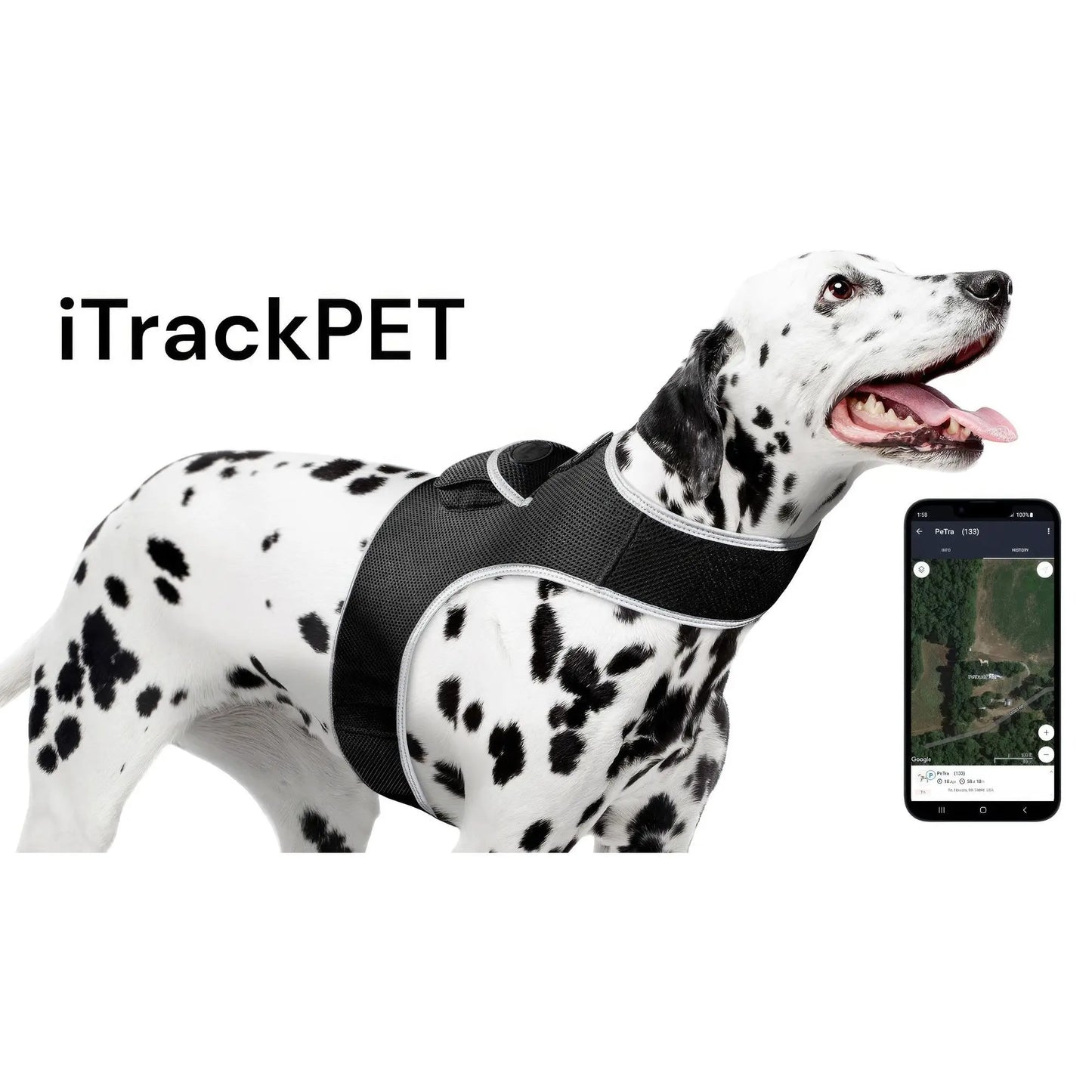 Dispositivo de Rastreo GPS Portátil para Mascotas
